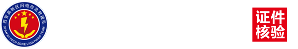 西安高新区闪电应急救援队队徽